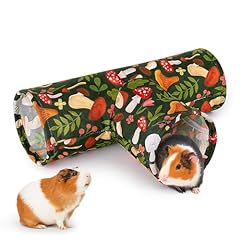 Bienbee guinea pig for sale  Delivered anywhere in USA 