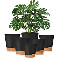 Gardife plant pots for sale  Delivered anywhere in USA 