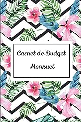 Carnet budget mensuel d'occasion  Livré partout en France