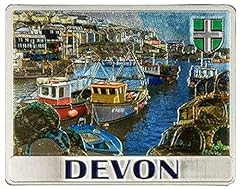 Devon fridge magnet for sale  Delivered anywhere in UK