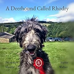 Deerhound called rhodry for sale  Delivered anywhere in UK