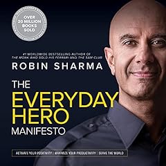 The everyday hero gebraucht kaufen  Wird an jeden Ort in Deutschland