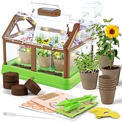 Duyoyu kids plant for sale  Delivered anywhere in USA 