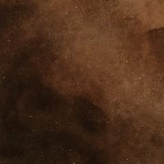 Concrete acid stainsemi for sale  Delivered anywhere in USA 
