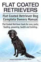 Flat coated retrievers. for sale  Delivered anywhere in UK