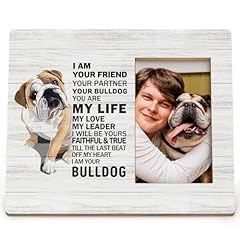 Dienadfx english bulldog for sale  Delivered anywhere in USA 