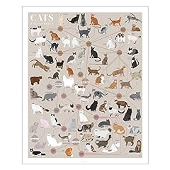 Pop chart cats for sale  Delivered anywhere in USA 