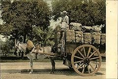 Donkey cart bales for sale  Delivered anywhere in USA 