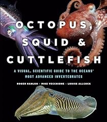 Octopus squid cuttlefish d'occasion  Livré partout en France