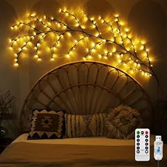 Enchanted willow vine for sale  Delivered anywhere in USA 