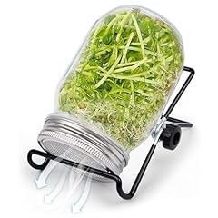 Zoojoy kit germinazione usato  Spedito ovunque in Italia 