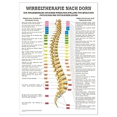 Wirbeltherapie dorn poster gebraucht kaufen  Wird an jeden Ort in Deutschland