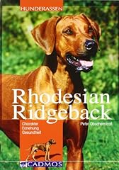 Rhodesian ridgeback d'occasion  Livré partout en France
