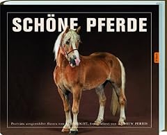 Schöne pferde gebraucht kaufen  Wird an jeden Ort in Deutschland