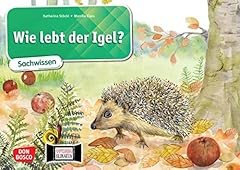 Wie lebt der usato  Spedito ovunque in Italia 