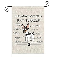 Rat terrier lovers for sale  Delivered anywhere in USA 