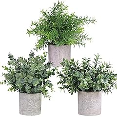 Winlyn mini potted for sale  Delivered anywhere in USA 
