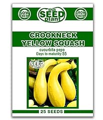 Crookneck yellow squash for sale  Delivered anywhere in USA 