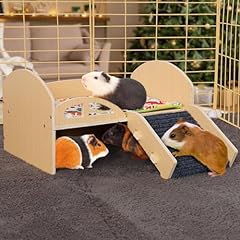 Mewtogo guinea pig for sale  Delivered anywhere in USA 