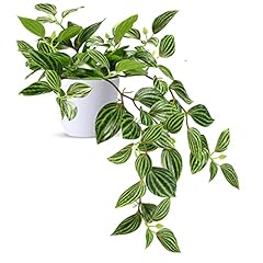 Soguyi fausse plante d'occasion  Livré partout en France