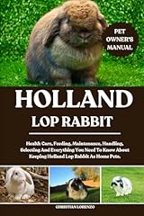 Holland lop rabbit for sale  Delivered anywhere in USA 