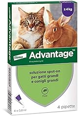 Advantage spot solution d'occasion  Livré partout en France