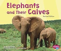 Elephants calves for sale  Delivered anywhere in USA 