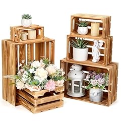 Croblissful pcs decorative for sale  Delivered anywhere in USA 