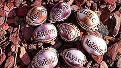 Mallory personalized seashells for sale  Delivered anywhere in USA 