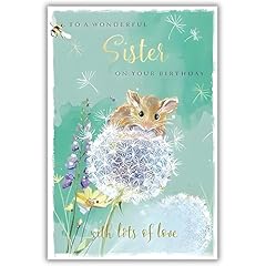 Sister birthday card for sale  Delivered anywhere in UK