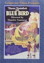 Blue bird for sale  Delivered anywhere in USA 