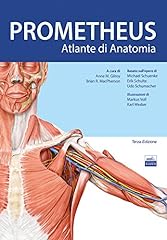 Prometheus. altante anatomia usato  Spedito ovunque in Italia 