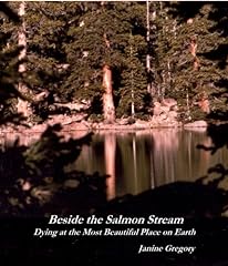 Beside salmon stream for sale  Delivered anywhere in USA 