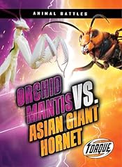 Orchid mantis vs. for sale  Delivered anywhere in UK