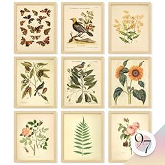 Decor vintage botanical for sale  Delivered anywhere in USA 
