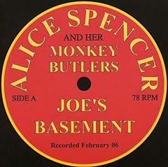 Joe basement for sale  Delivered anywhere in USA 