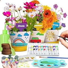 Doiaz paint plant for sale  Delivered anywhere in USA 