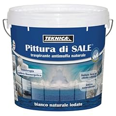 Colorchimica pittura sale usato  Spedito ovunque in Italia 