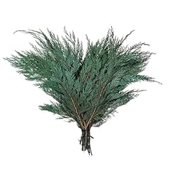 Vickerman natural botanicals for sale  Delivered anywhere in USA 