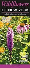 Wildflowers new york for sale  Delivered anywhere in USA 