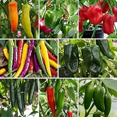 Hot sweet pepper for sale  Delivered anywhere in USA 