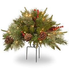 National tree company for sale  Delivered anywhere in USA 