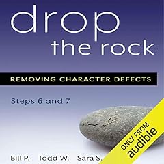 Drop rock removing for sale  Delivered anywhere in USA 
