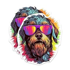 Wirehaired pointing griffon for sale  Delivered anywhere in USA 