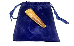 Dinosaurs rock genuine for sale  Delivered anywhere in USA 