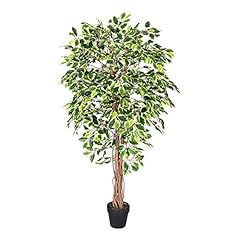 Homescapes feet ficus for sale  Delivered anywhere in UK