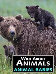 Wild animals animal for sale  Delivered anywhere in USA 