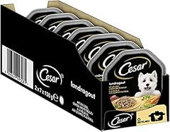 Cesar cibo per usato  Spedito ovunque in Italia 