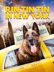 Rin tin tin usato  Spedito ovunque in Italia 