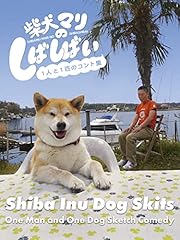 Shiba inu dog for sale  Delivered anywhere in USA 